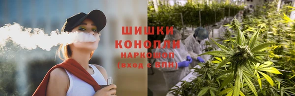 apvp Аркадак