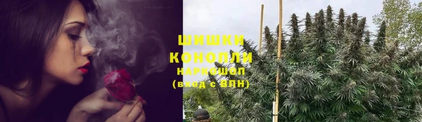 apvp Аркадак