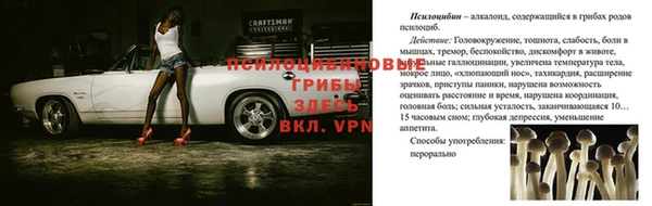 apvp Аркадак