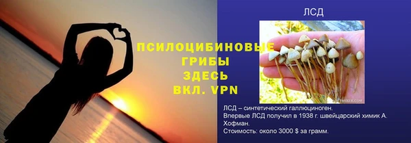 apvp Аркадак