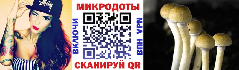 Галлюциногенные грибы GOLDEN TEACHER  Сегежа 
