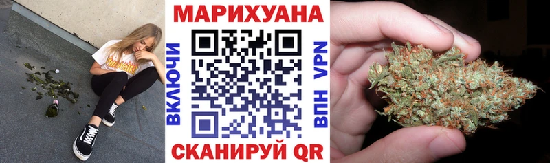 Каннабис Amnesia  дарнет шоп  Сегежа 